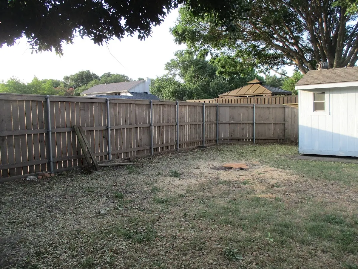 Cleared yard after professional tree removal in Calhoun